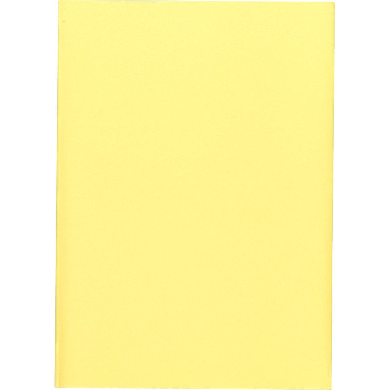 Sous-chemise standard 60 g 22 x 31 cm couleur - Paquet de 100