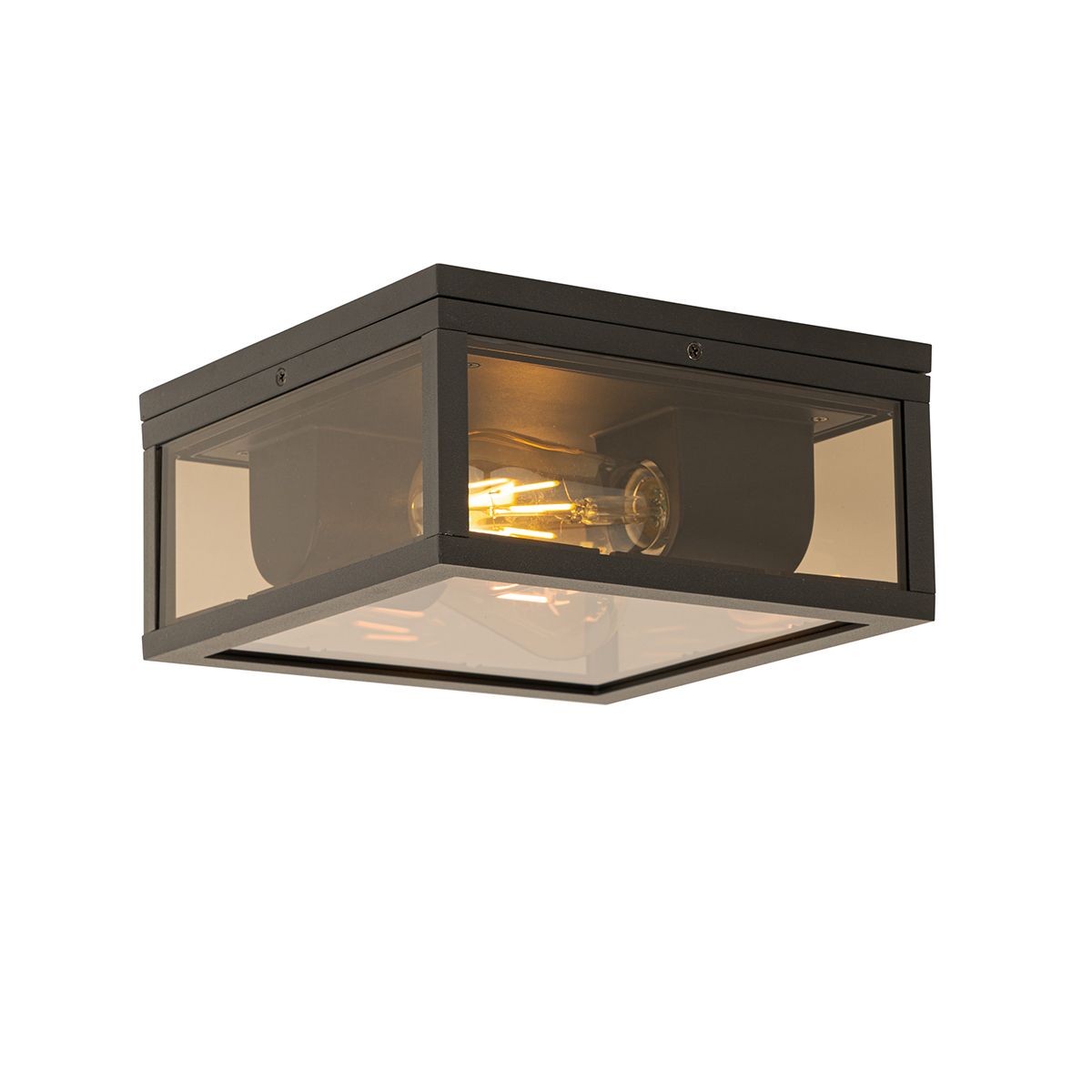 Plafondlamp zwart met smoke glas 2-lichts IP44 - Charlois