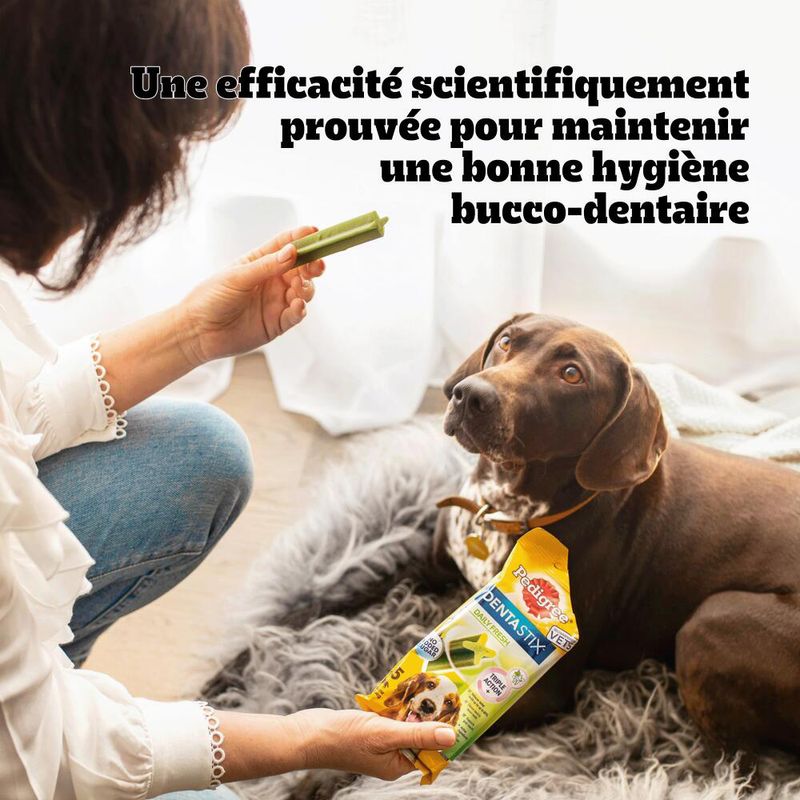 Lots économiques Pedigree Dentastix 168 friandises !