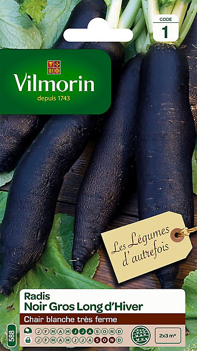 Graines de Radis Noir Gros Long d'Hiver Vilmorin