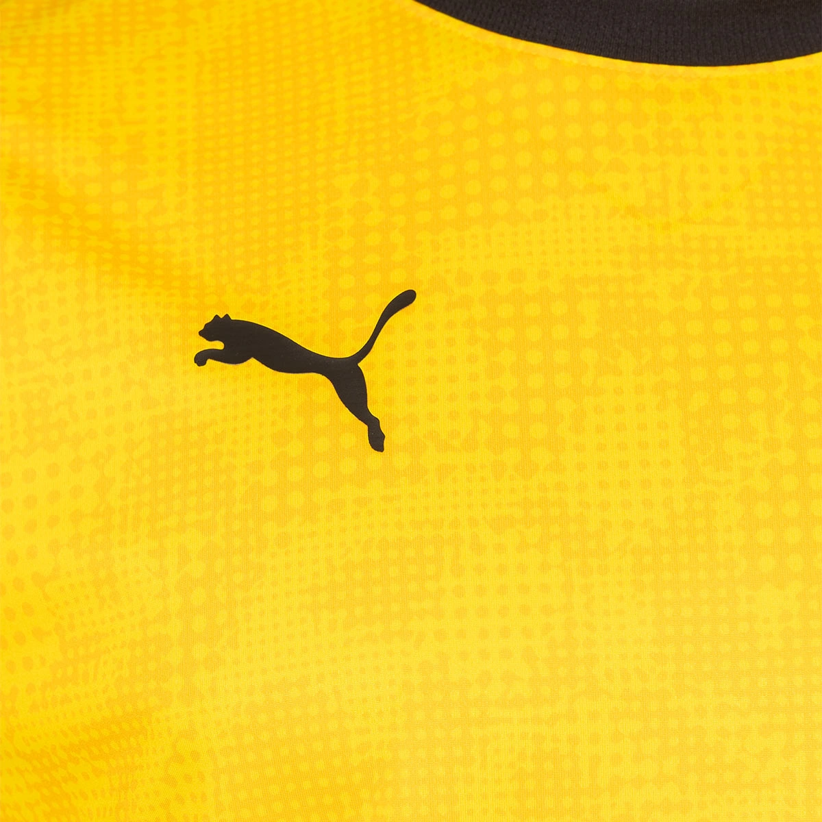 T-Shirt Puma BVB Borussia Training 2025-2026