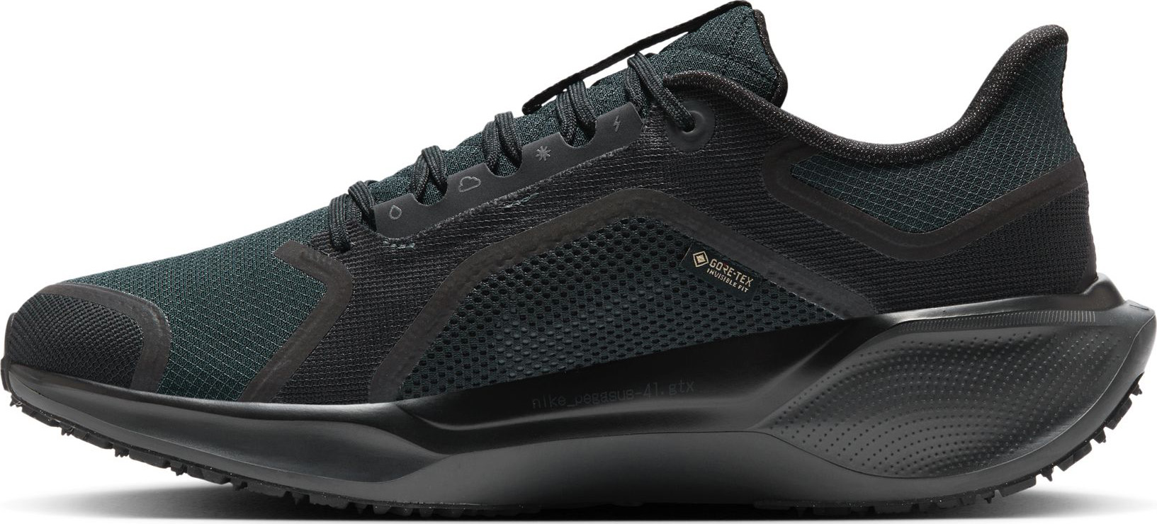 Pegasus 41 GORE-TEX Herre 001/Black/Black/Anthracite
