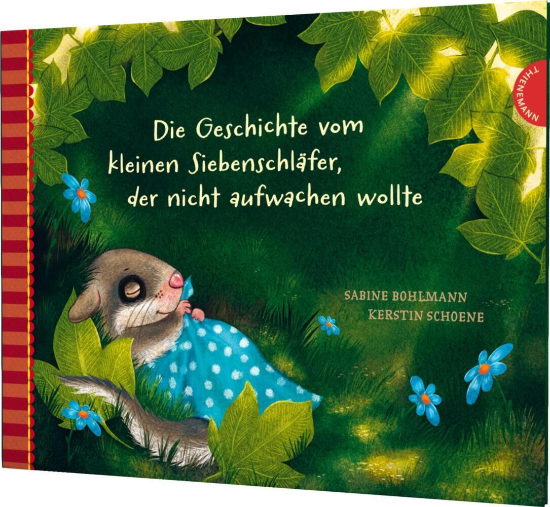Die Geschichte vom kleinen Siebenschläfer, der nicht aufwachen wollte / Der kleine Siebenschläfer Bd.2
