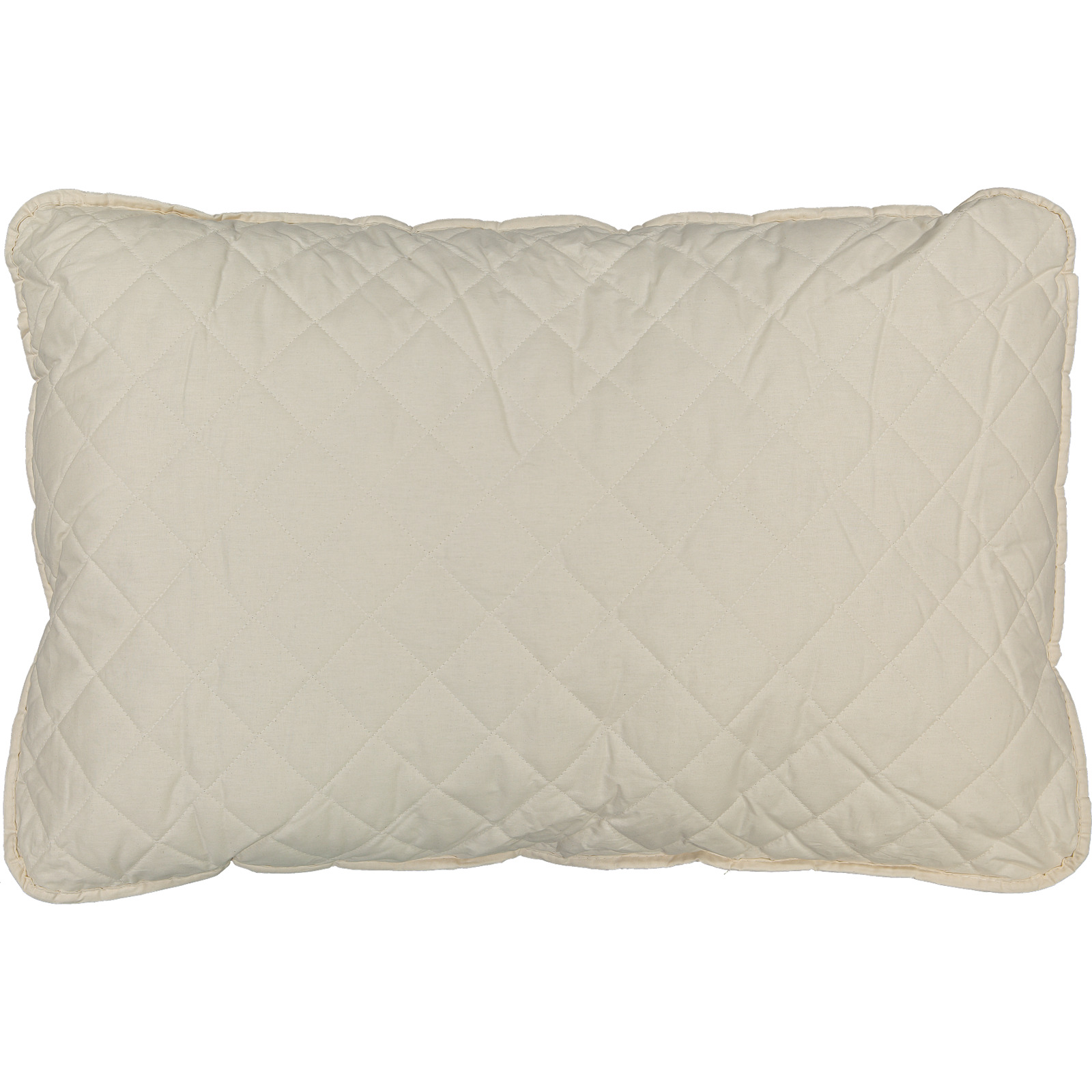 Easy Dream eco Kissen Baumwolle 65x100 Pfulmen