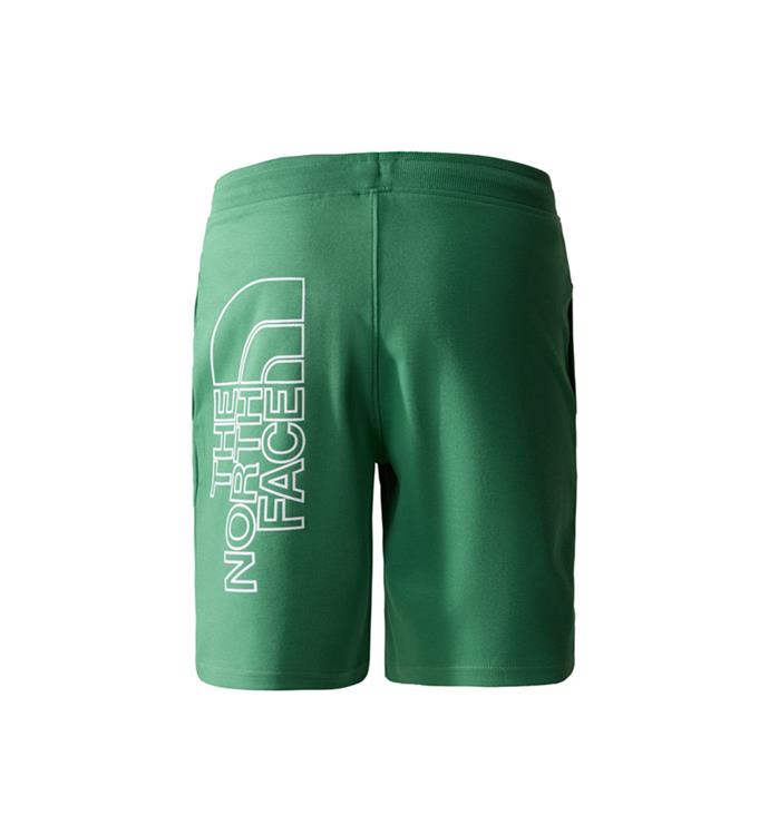 The North Face Men Graphic Light Short