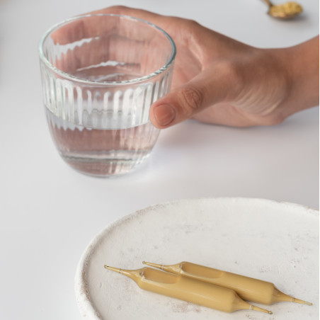 Apicia 10 Ampoules de Propolis