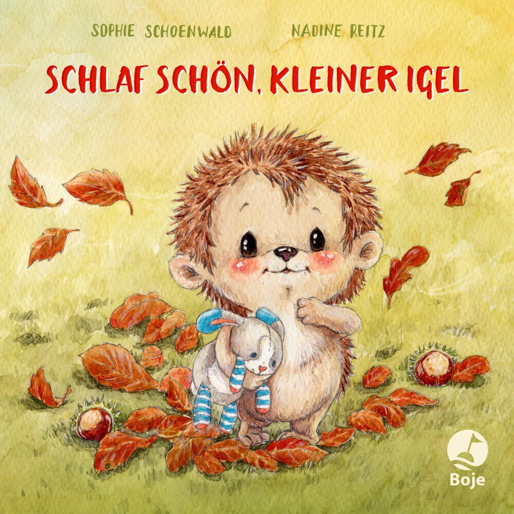 Schlaf schön, kleiner Igel / Mitmachpappen Bd.2