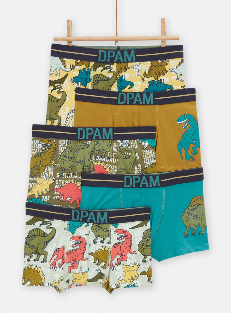 Lot de 5 caleçons imprimés dinosaures pour garçon