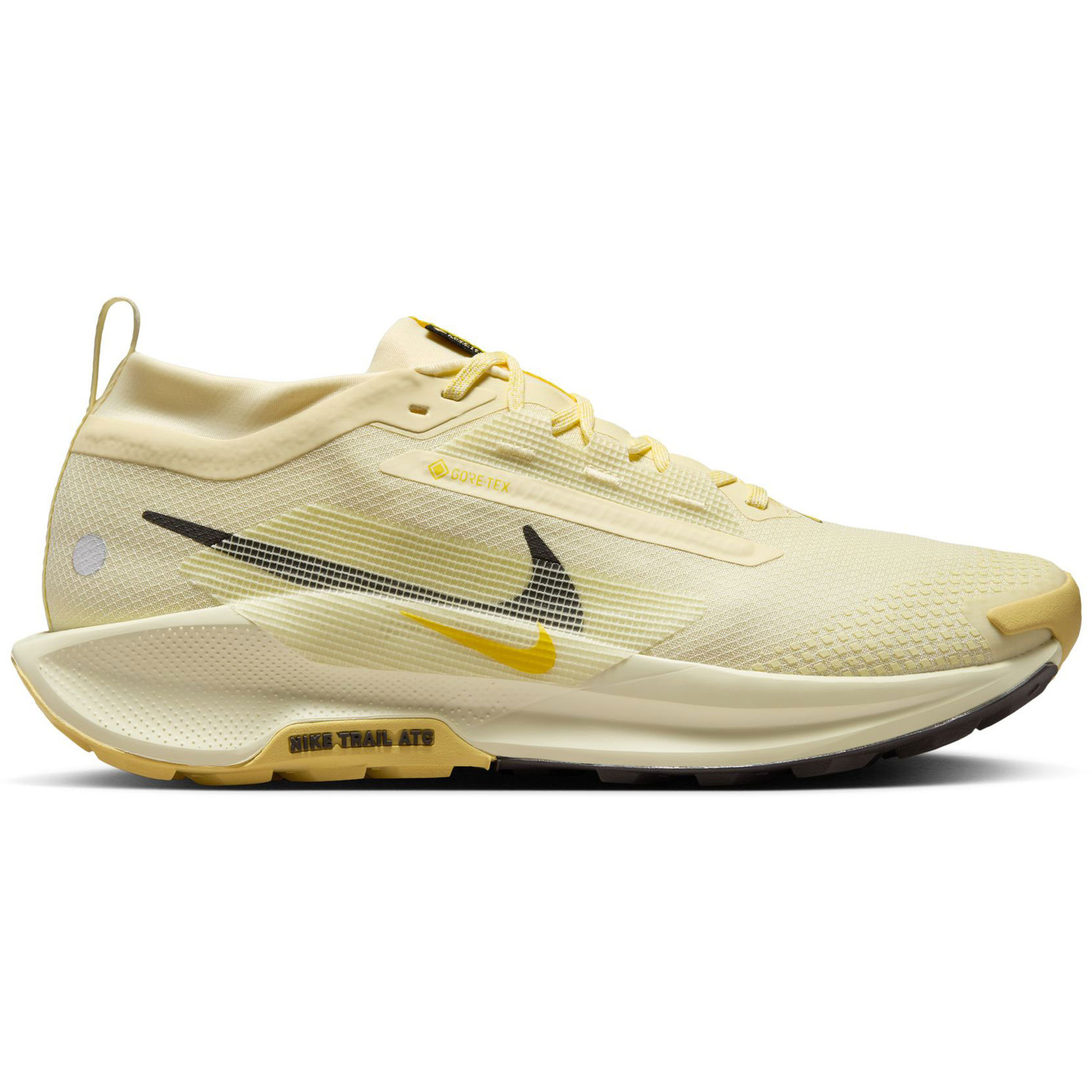 Nike Pegasus Trail 5 GTX Heren