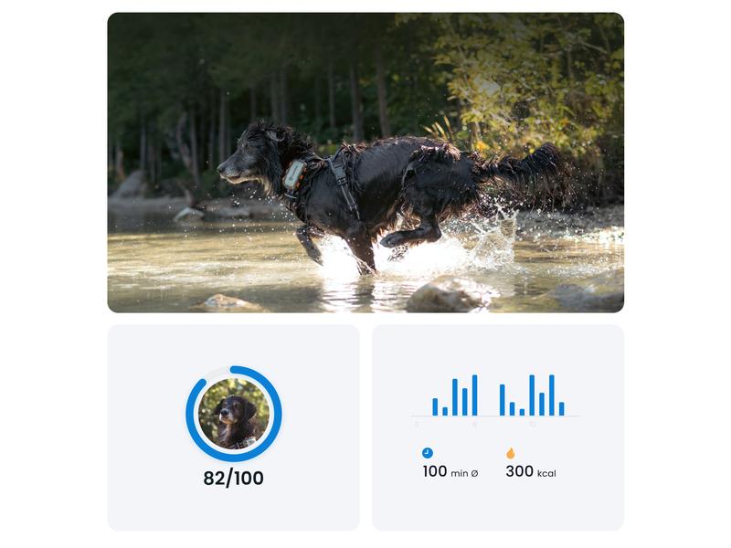 tractive GPS-Tracker DOG XL Adventure Edition, Grau GPS Tracker für grosse Hunde