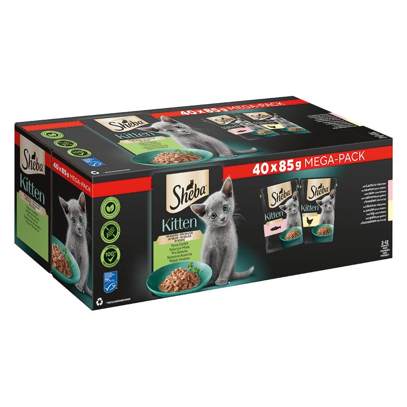 Mégapack Sheba Kitten 80 x 85 g pour chaton