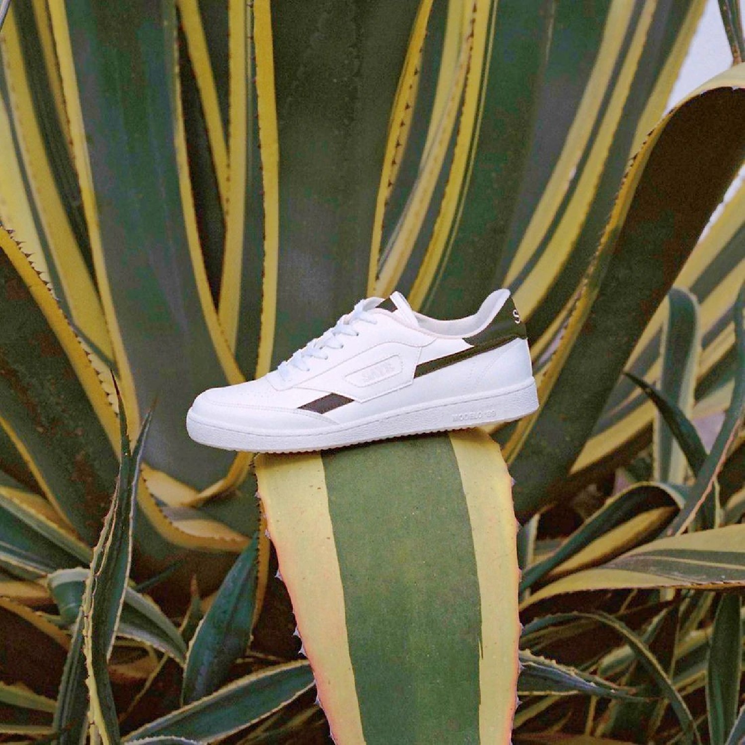 Saye Sneakers Modelo '89 Vegan Polar Cactus