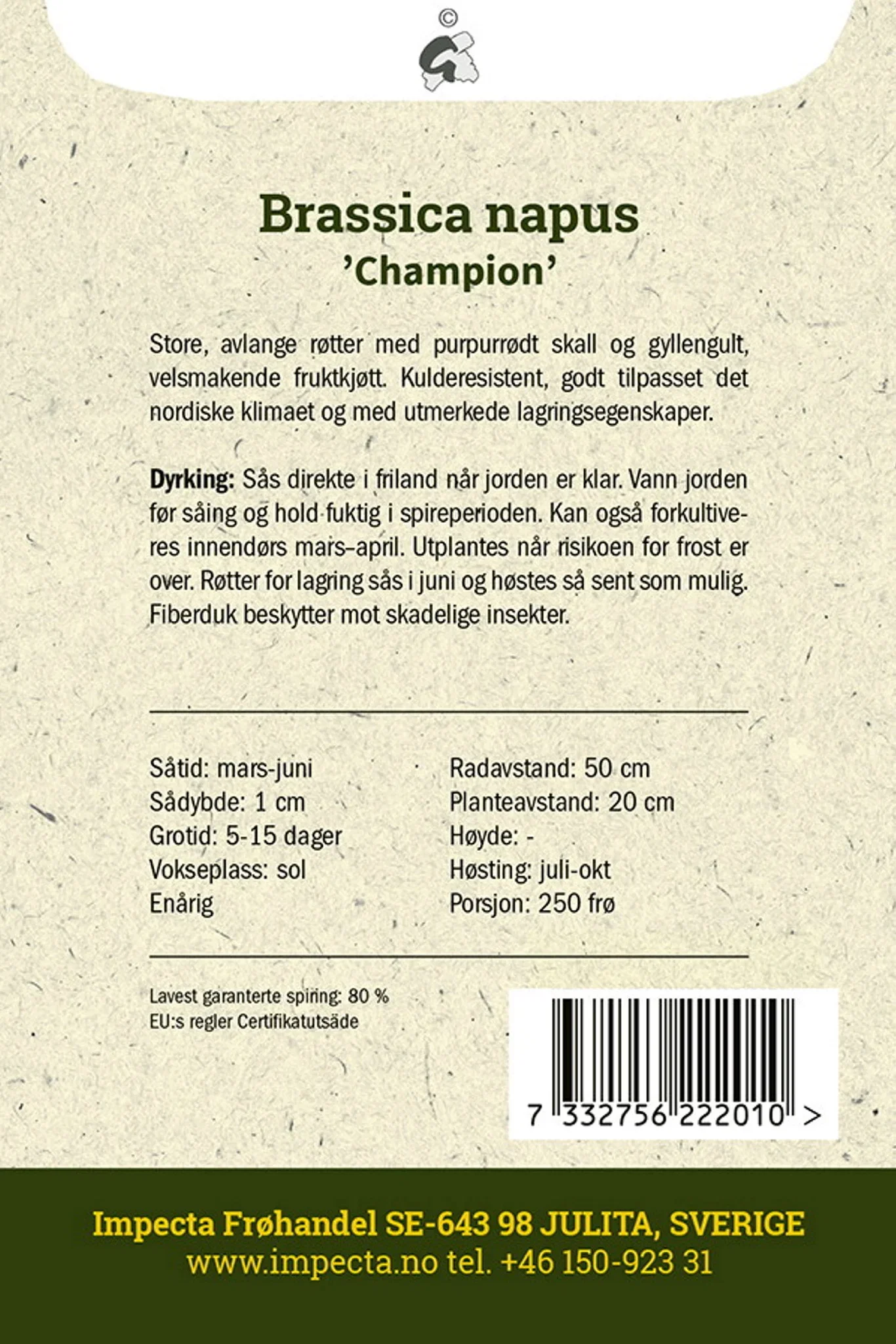 Brassica napus 'Champion' Kålrot 'Champion'