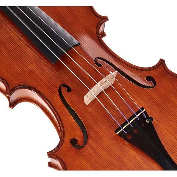 Luca Zerilli Viola Guarneri Trieste 15,5