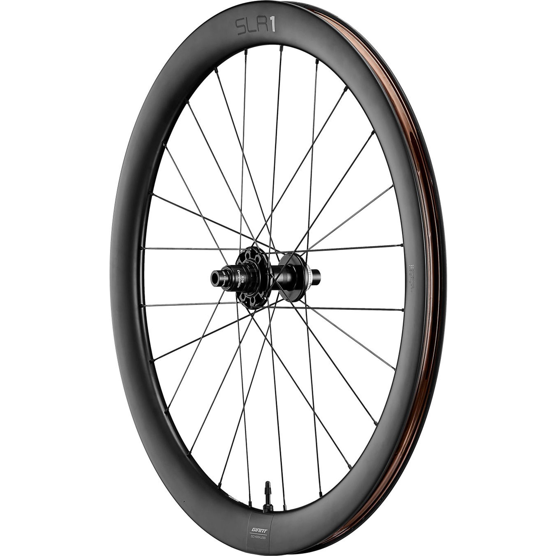 Giant SLR 1 50 Disc Racefiets Wielset