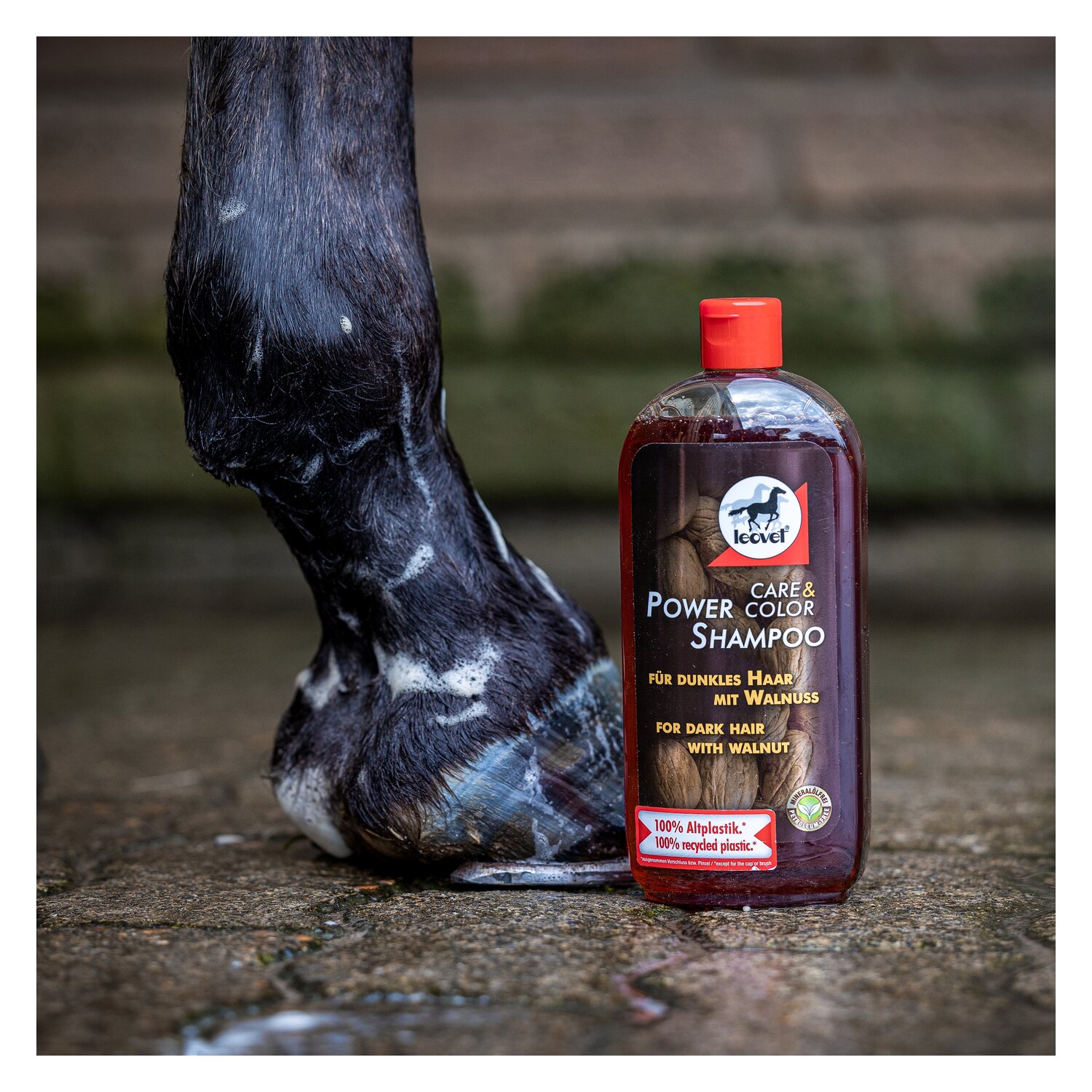 leovet Power Shampoo mit Walnuss - 500 ml