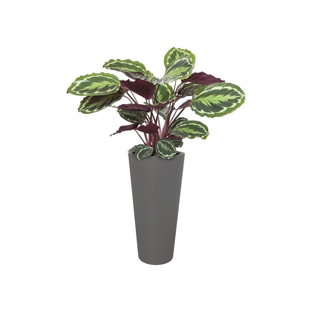 UTEPOTTE ELHO PURE STRAIGHT ROUND HIGH ANTRASITT Ø49,5-58CM