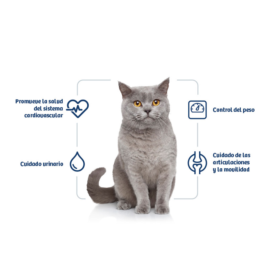 Ração esterilizada para gatos adultos Nath, sabor frango e arroz.