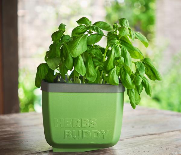 Gusta Garden Kräutertopf Herbs Buddy, ca.