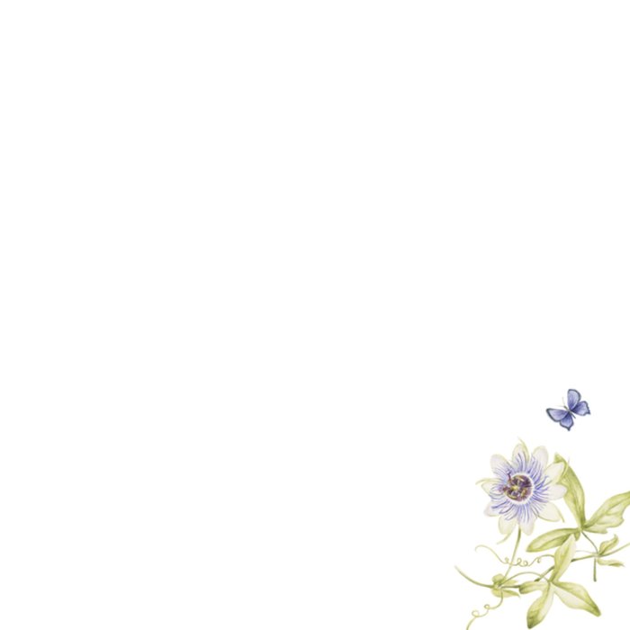 Janneke Brinkman | Beterschapskaart | Vlinders en bloemen