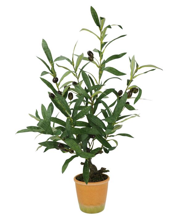 I.GE.A. Kunstpflanze Olive mit schwarzen