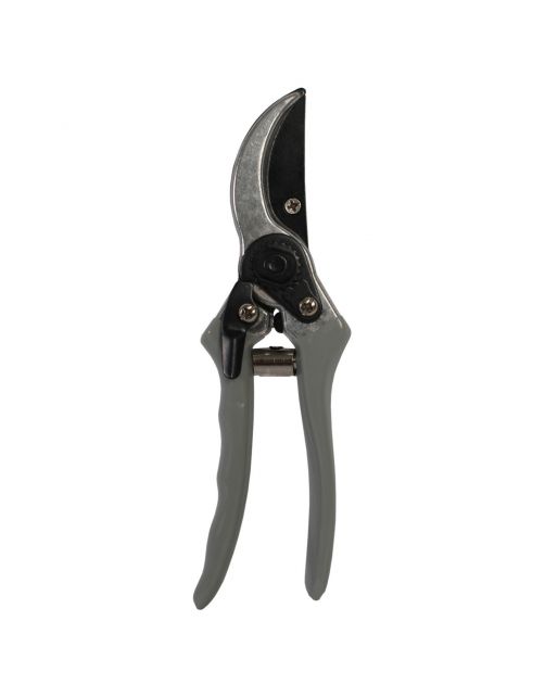 Talen Tools Snoeischaar - Snoeien - Grijs