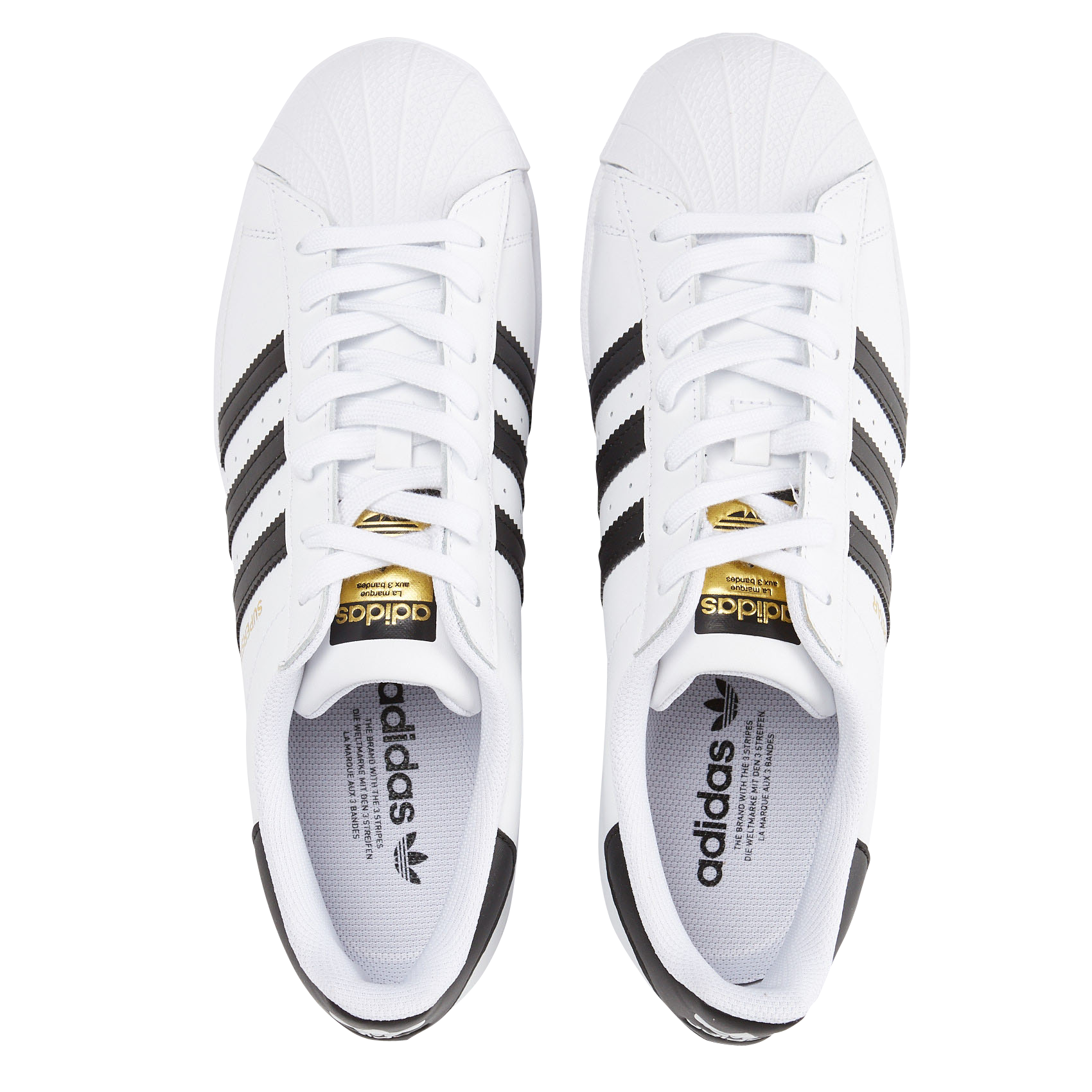 SUPERSTAR - Baskets basses | Blanc