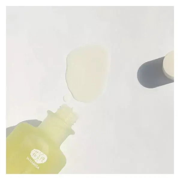 Whamisa Essência Equilibrante com Flores Orgânicas Fermentadas 155ml