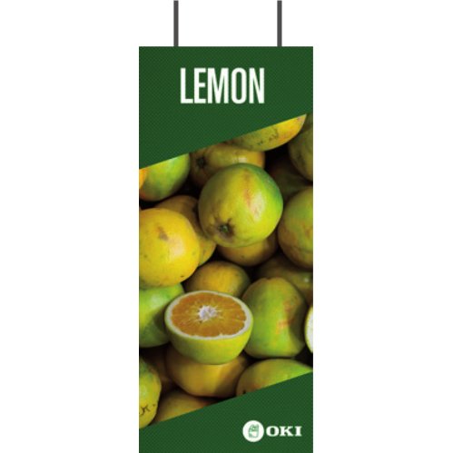 OKI FASTDISPLAY Métal afficheur mural pour A3