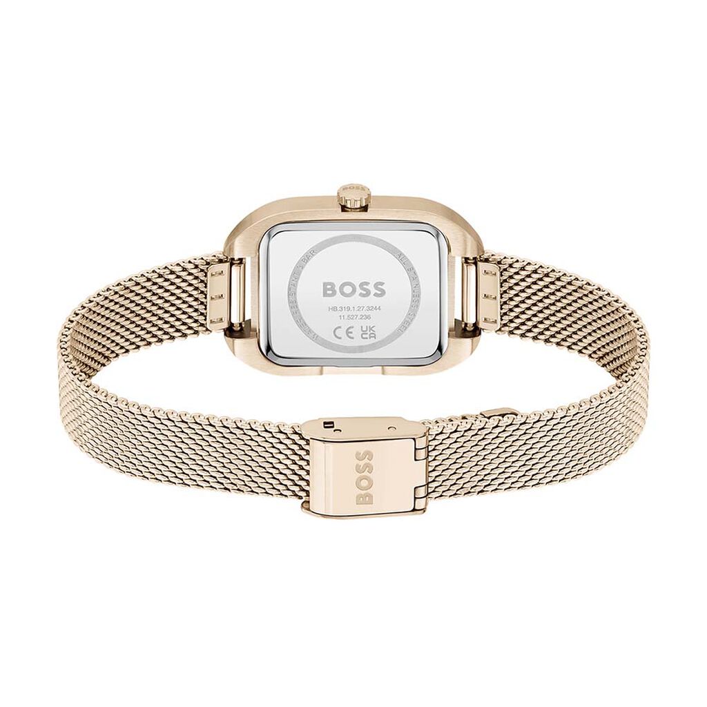 Montre Boss balley Gris