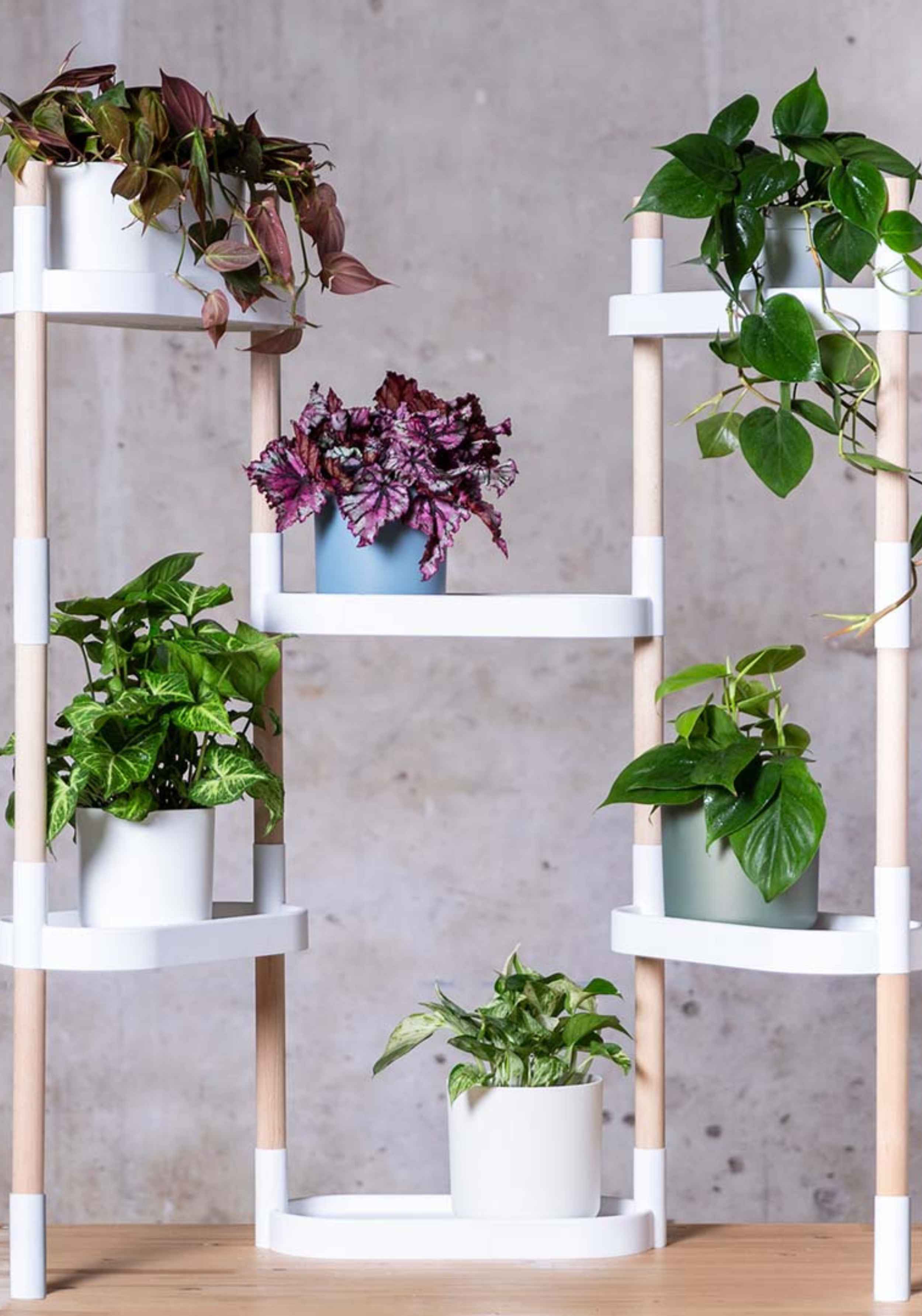 CitySens Modulares Pflanzenregal mit 6 Ablagen