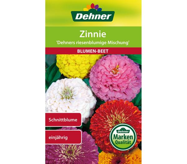 Dehner Samen für Zinnie 'Dehners