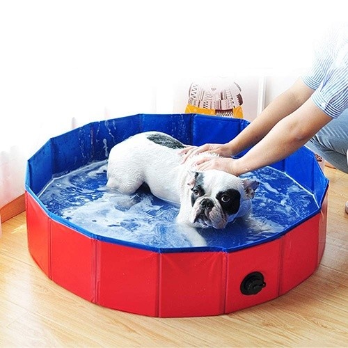 Tapete dobrável antiderrapante para animais de estimação DZL em PVC, nas cores vermelho e azul.