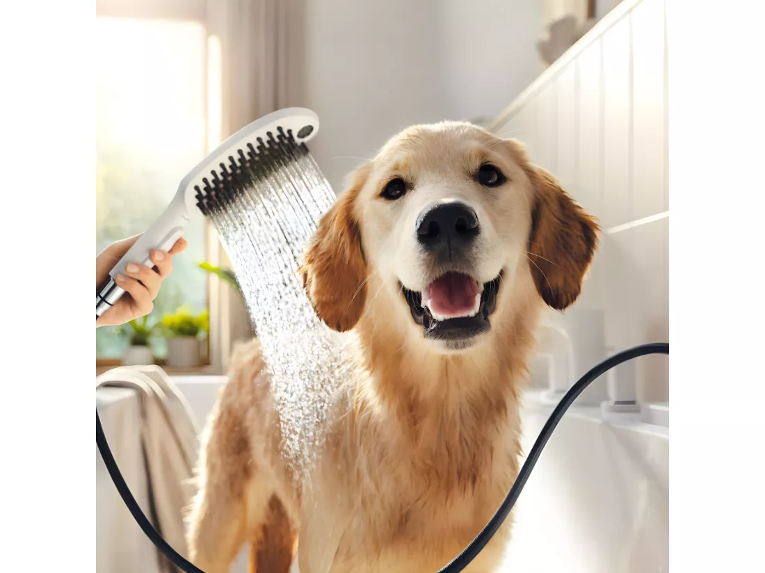 Pommeau de douche pour chien HANSGROHE DogShower 3 jets Blanc