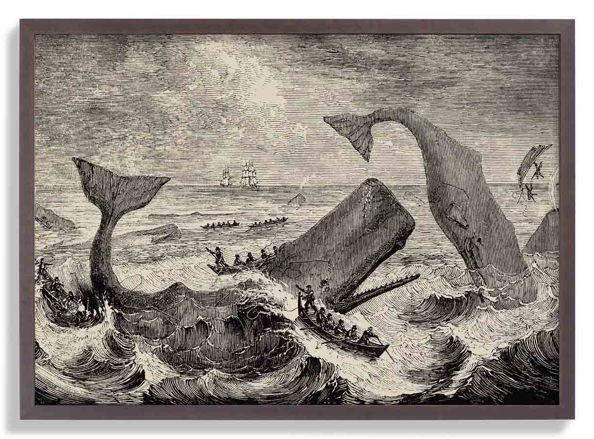 Szene Moby Dick