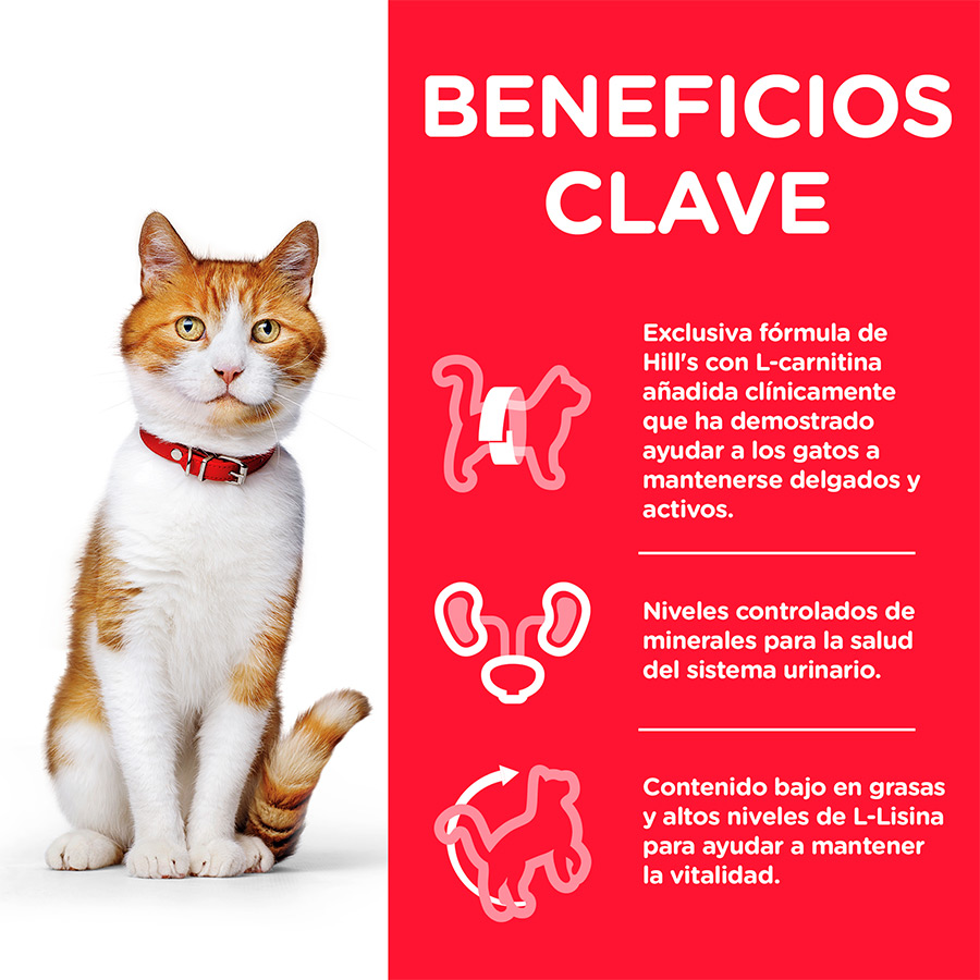 Ração para gatos Hill's Science Plan, sabor atum esterilizado para gatos jovens adultos.