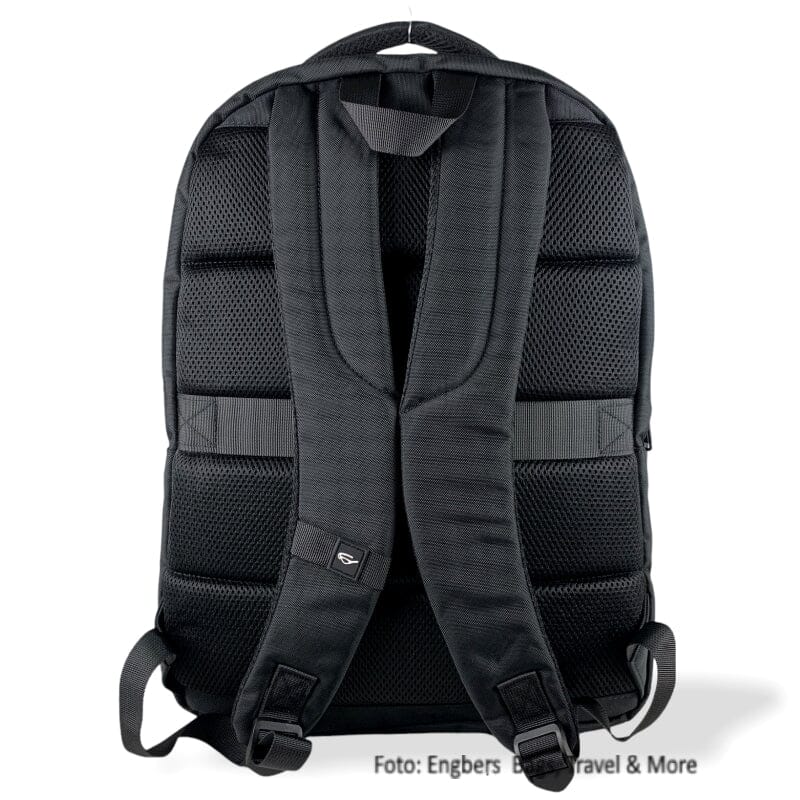 David Jones Buzz Laptop Rugzak 17