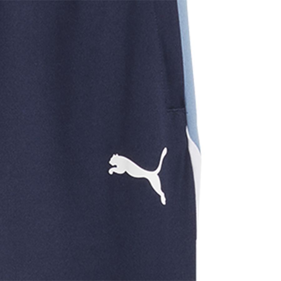 Puma individualLIGA Trainingshose