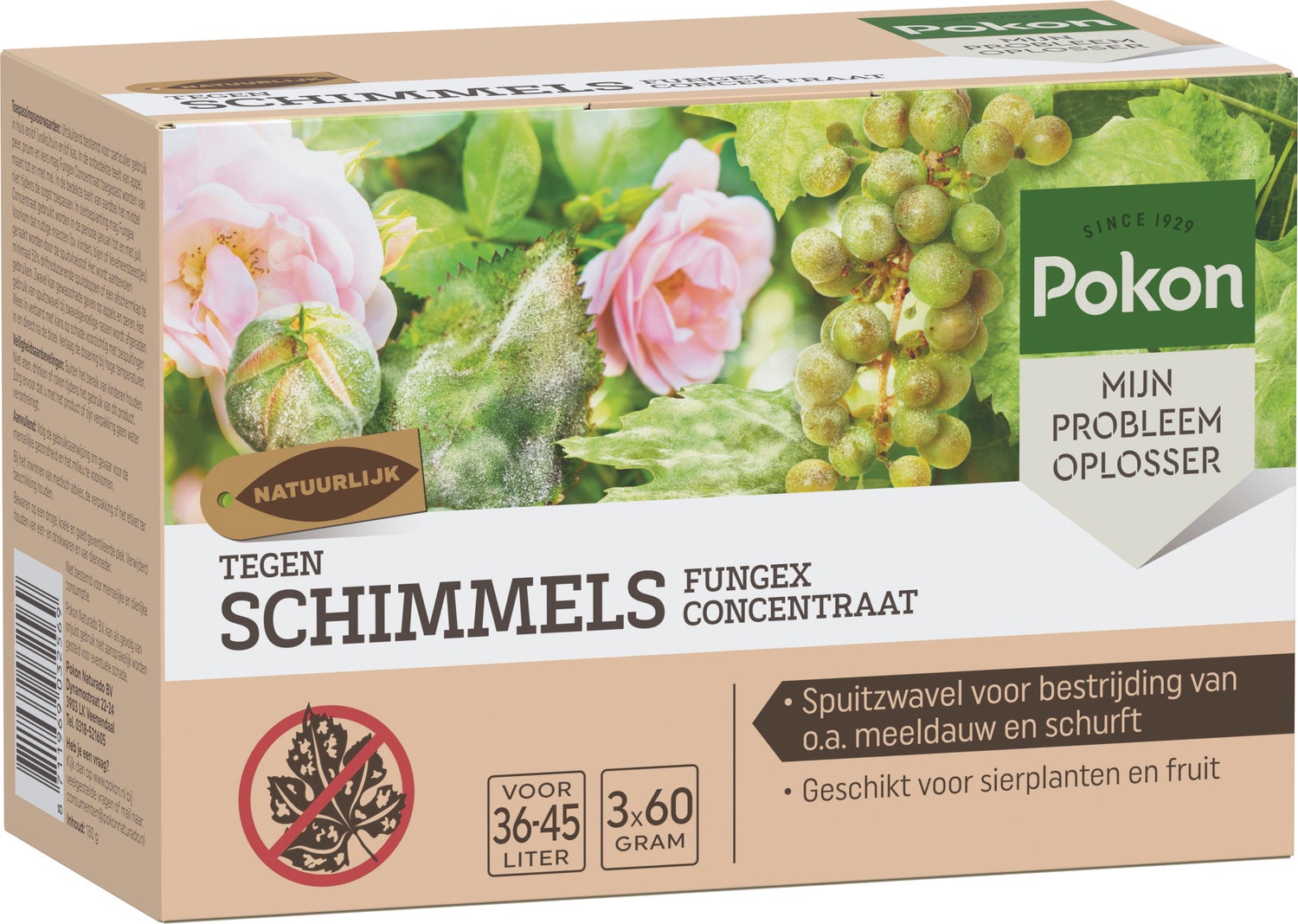 Pokon Tegen Schimmels 3 stuks