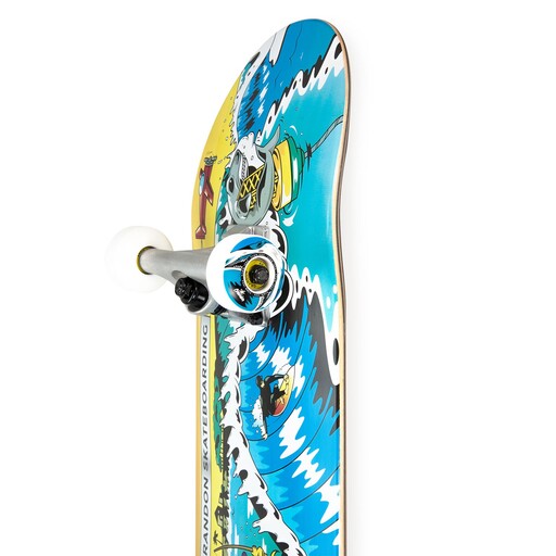 Skate completo Crandon Skc800north