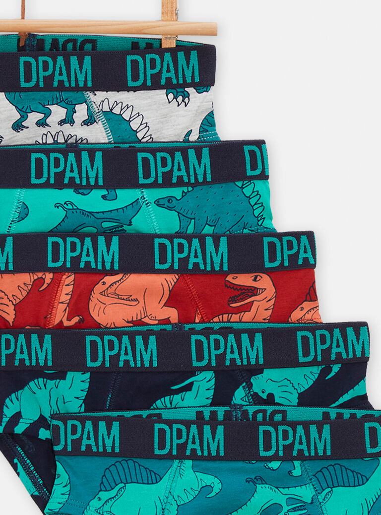 Lot de 5 slips imprimés dinosaures pour garçon