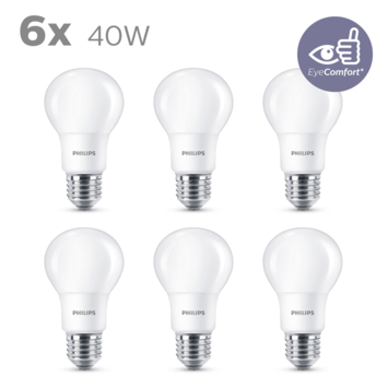 Philips LED peer E27 40W 6 stuks mat niet dimbaar