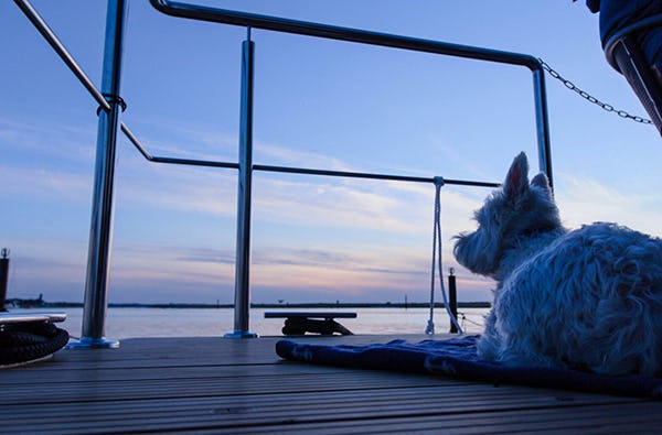 Hausboot mieten Wendtorf