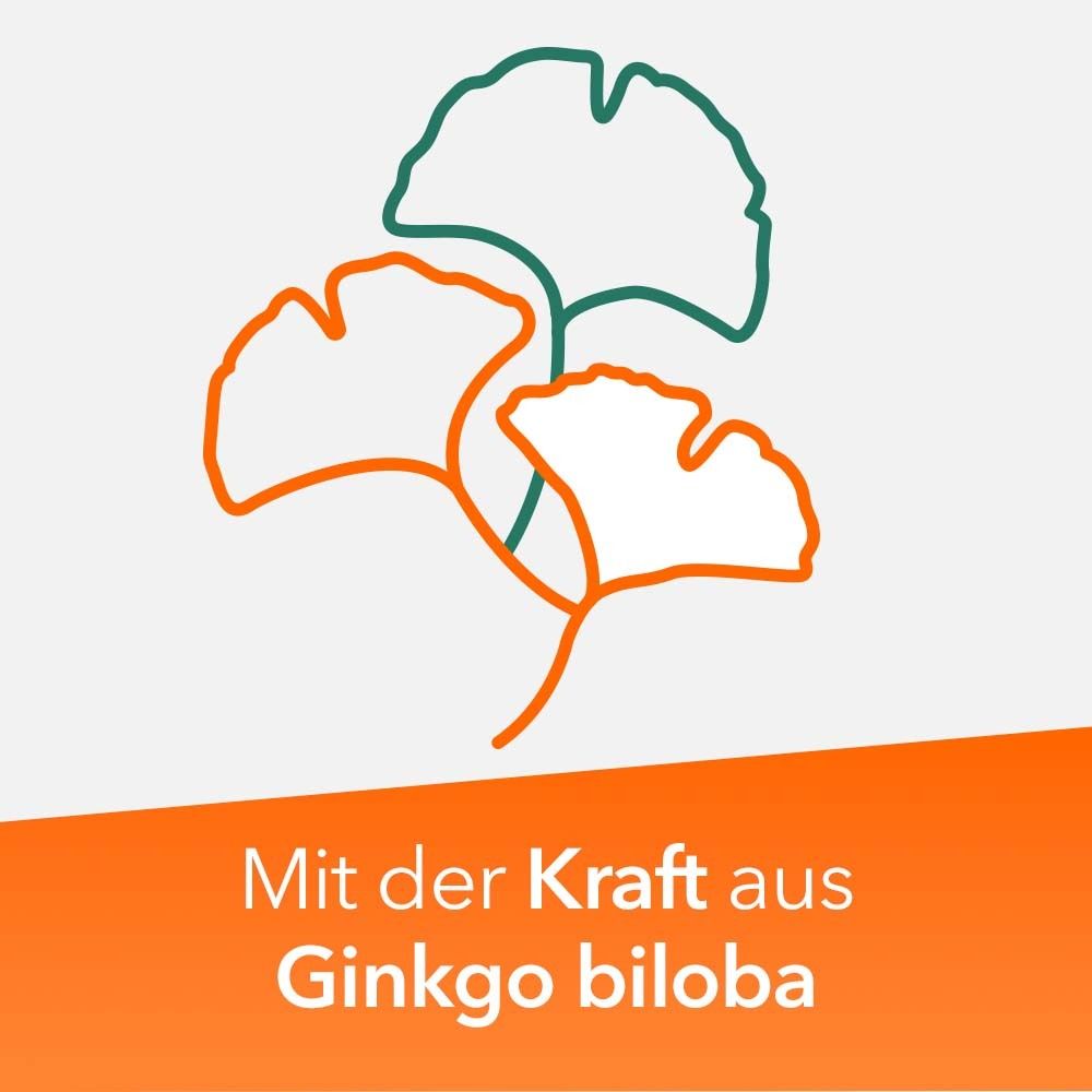 Ginkobil® ratiopharm 120mg mit Ginkgo biloba
