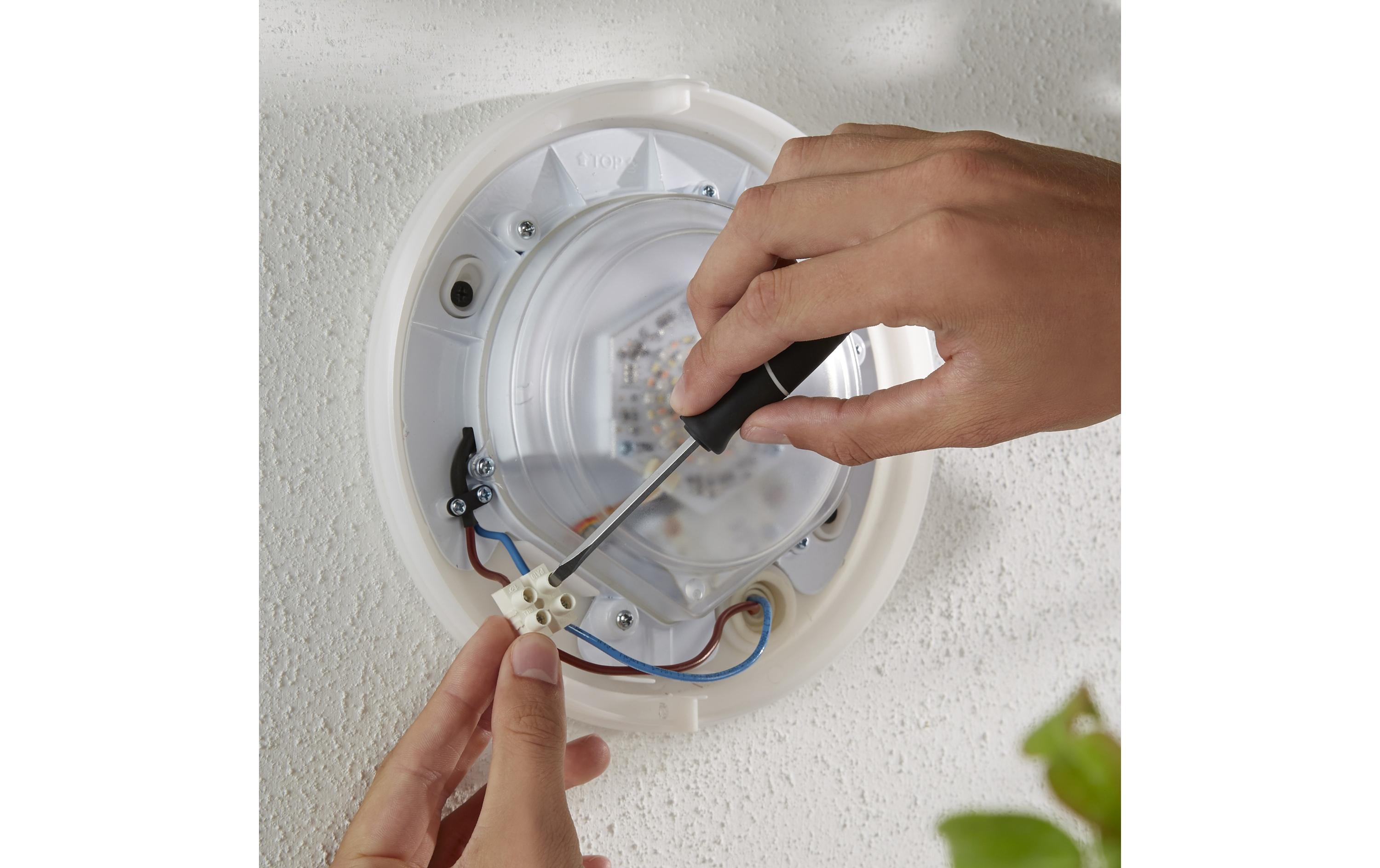 White & Color Ambiance Outdoor Daylo Wandleuchte Silber<br>Aussenleuchte Daylo Hue WACA, Silber