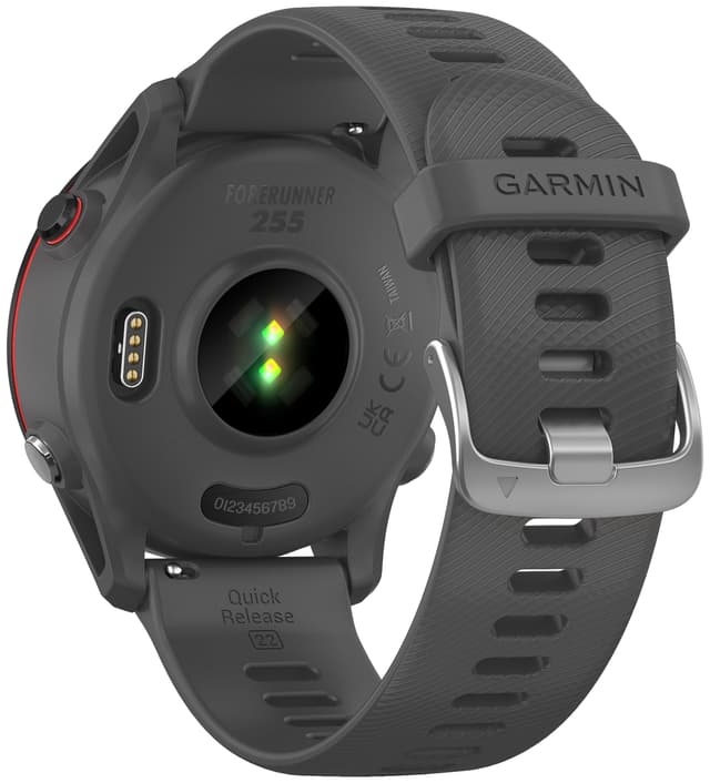 Garmin Forerunner 255 sportsur (grå)