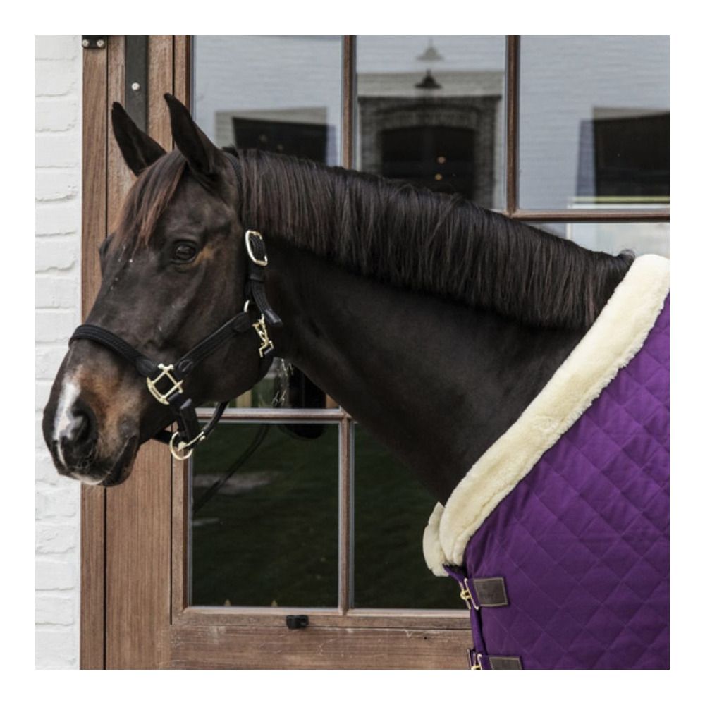 Kentucky SHOW 160G - Couverture de présentation royal purple