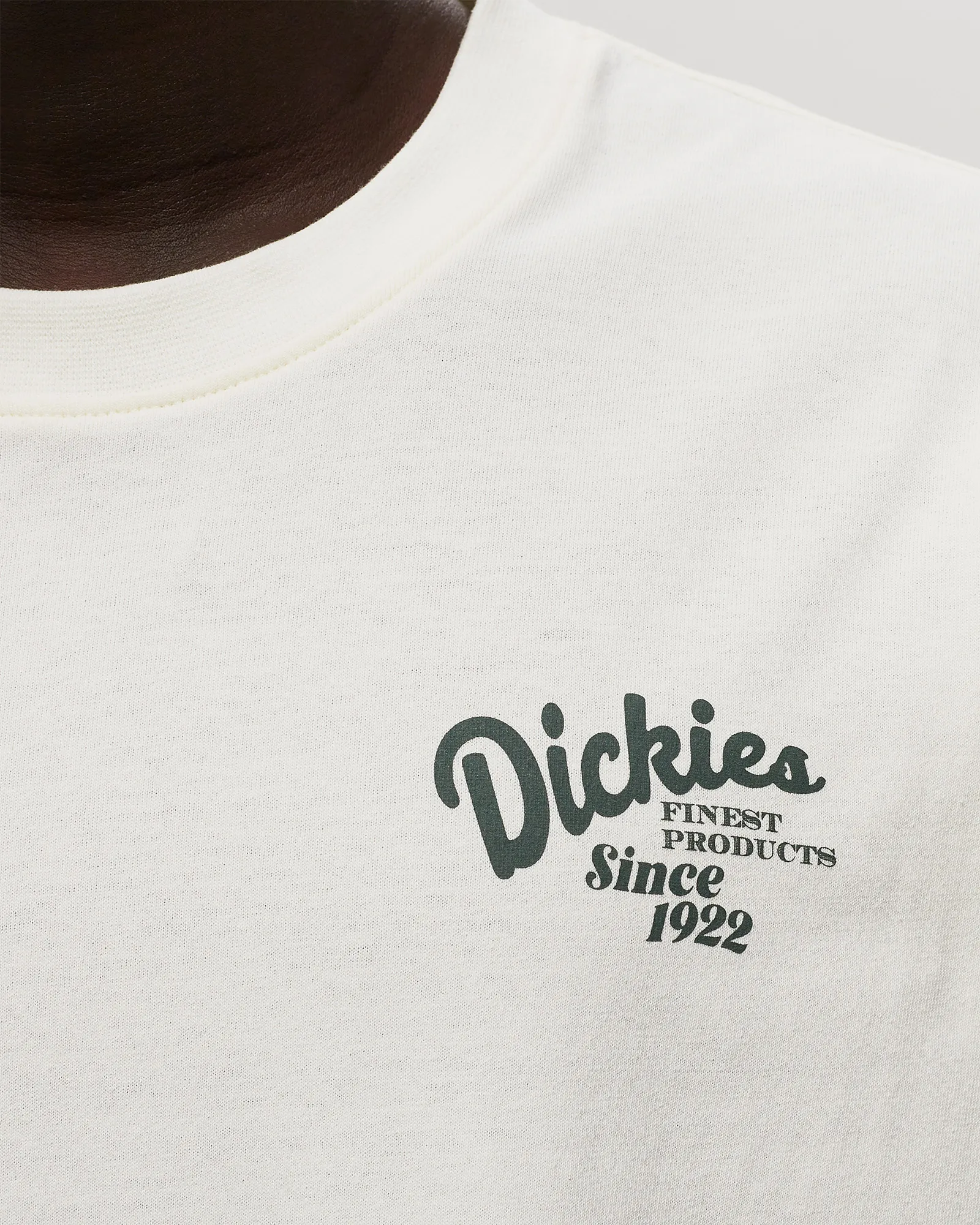 DICKIES RAVEN TEE SS CLOUD