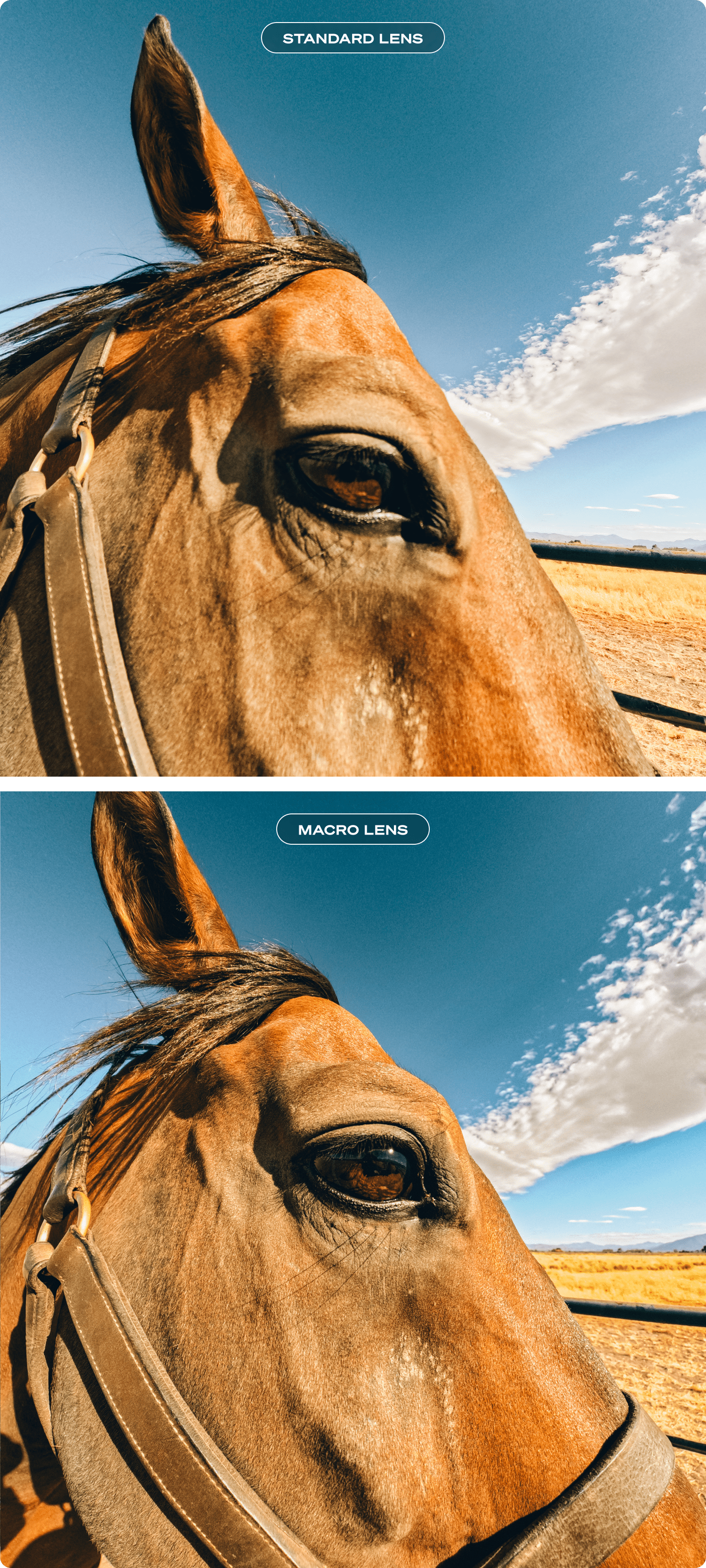 Lens Mod Makro(HB-Series | Weitwinkelobjektiv mit variablem Nahfokus)