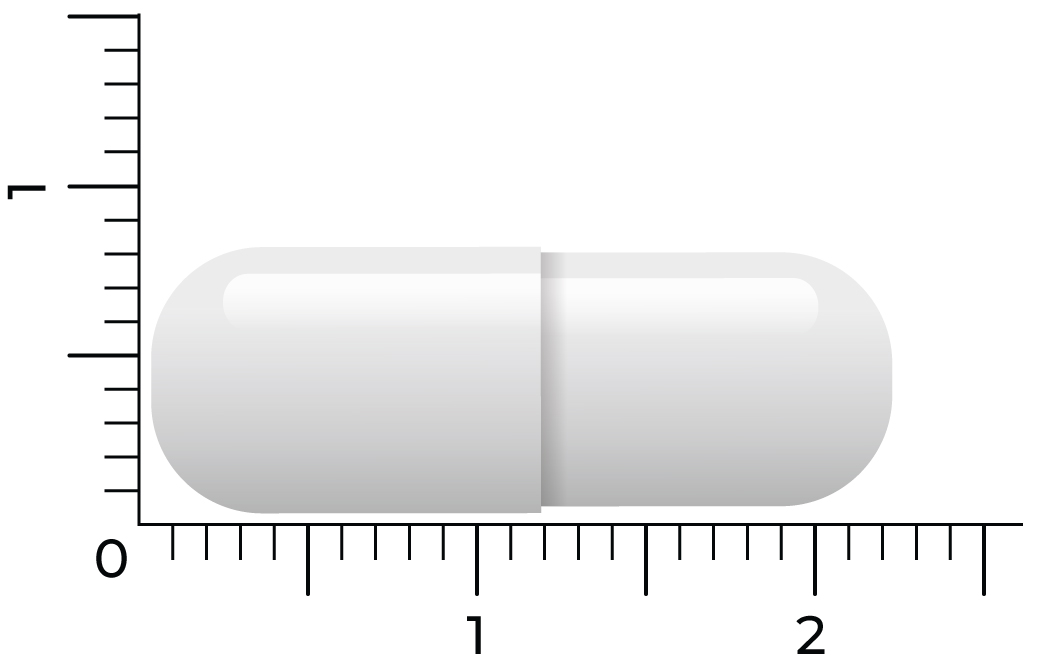 Vitakruid Acetyl-L-Carnitine 500 Mg (90 vega capsules)